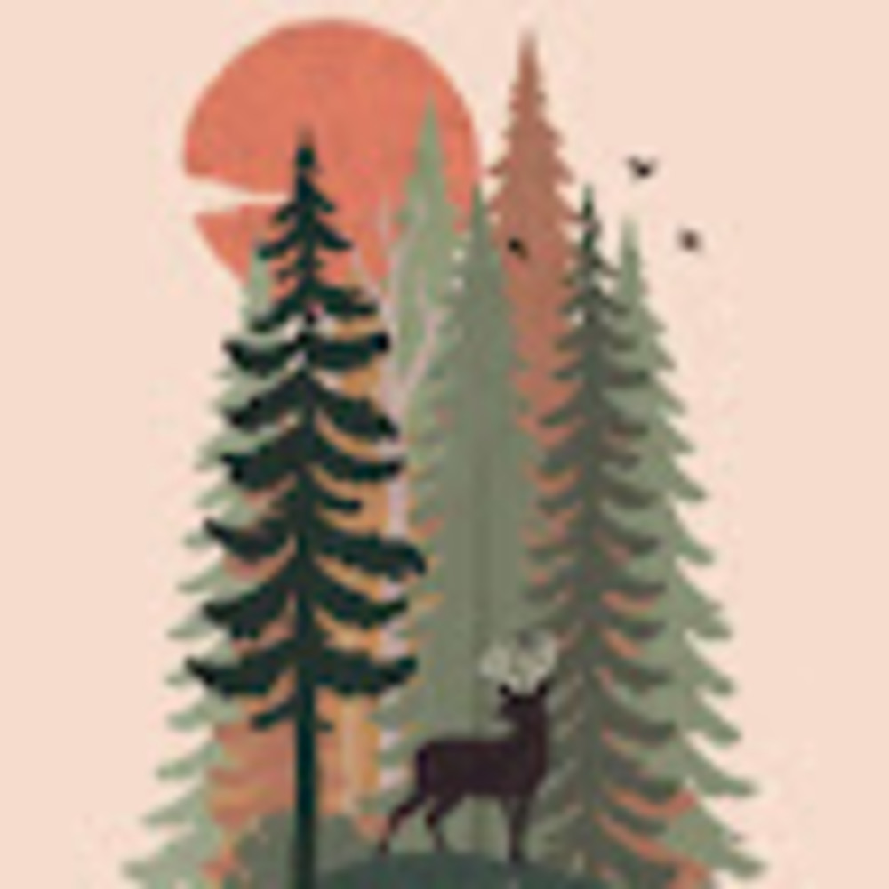 Meet your Posher, Kaitlin